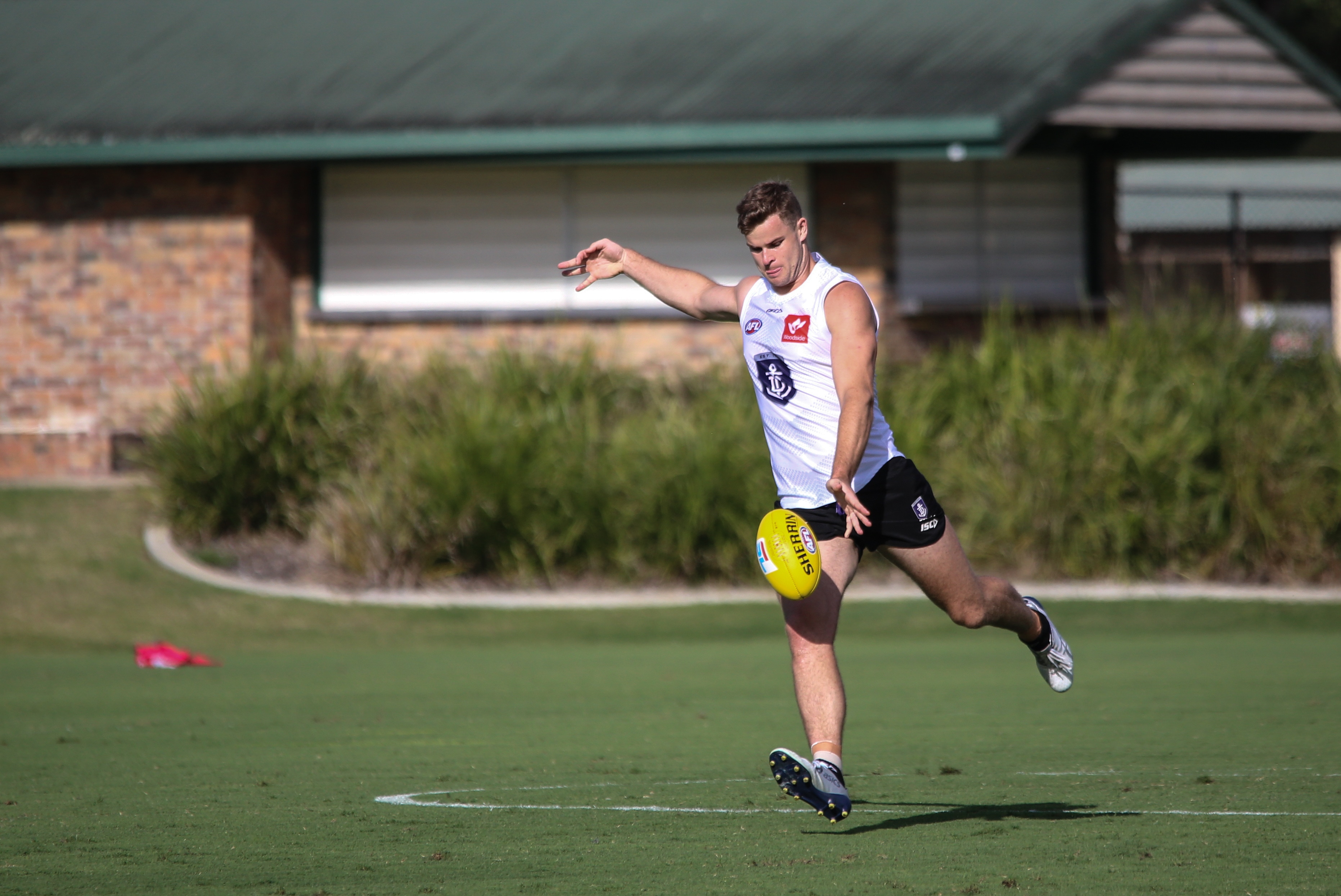 Sean Darcy Injury Update