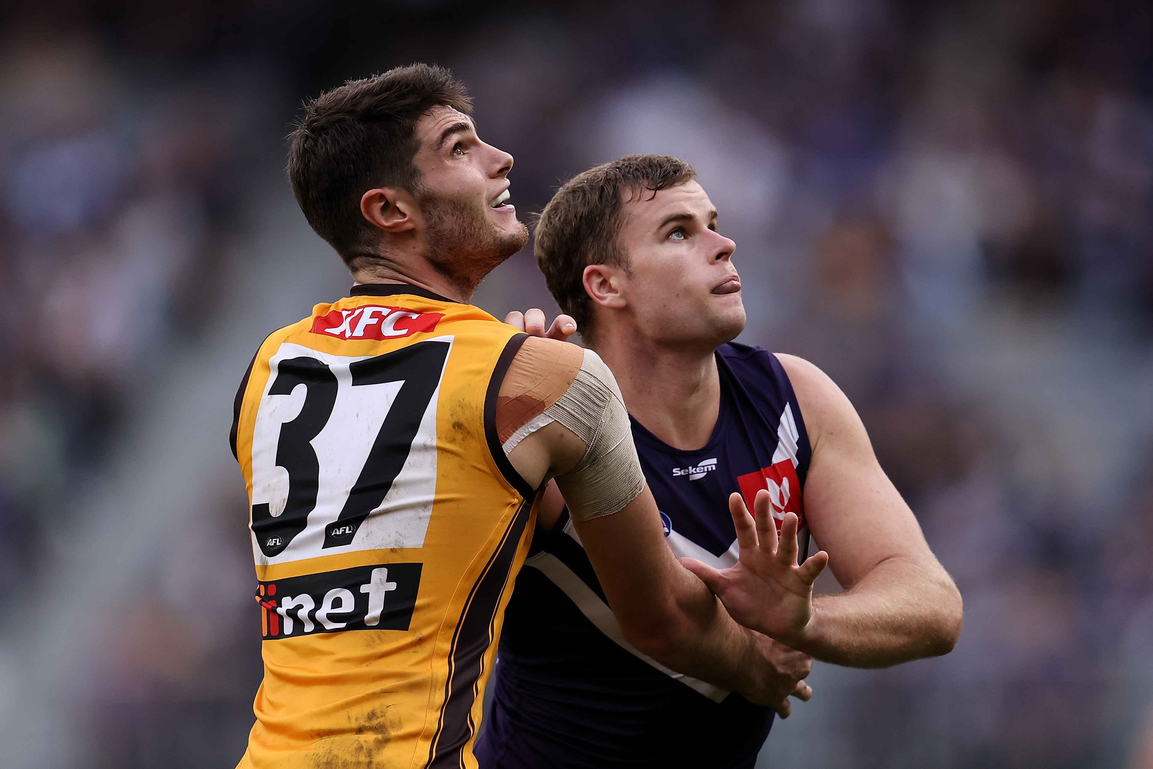 Opposition: How Hawthorn will line-up