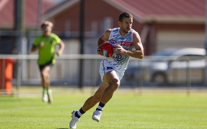 Sam Switkowski ruled out for Adelaide pre-season clash