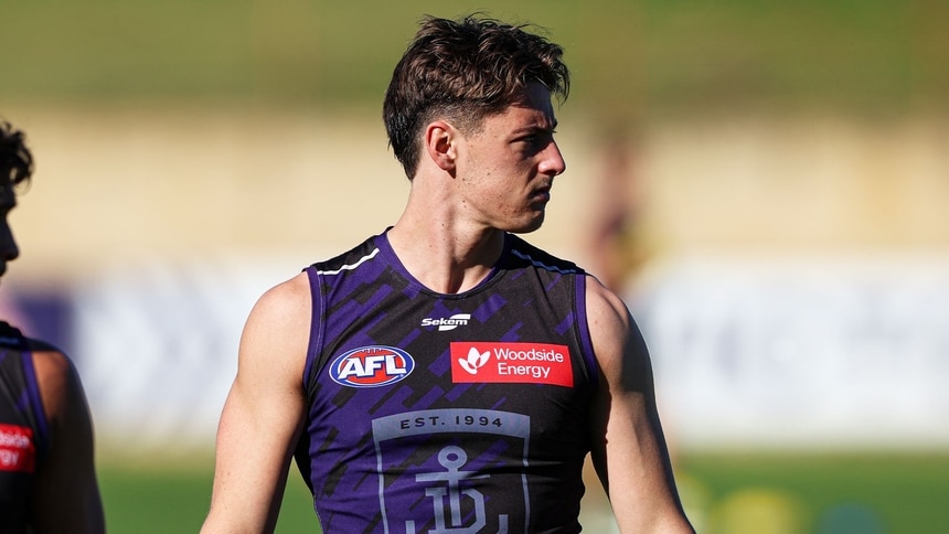 Murraydebutlead